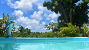 Hotel Pousada Rancho Fundo - piscina