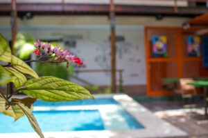 Vila Aju - Pousada Temática - Aracaju - piscina