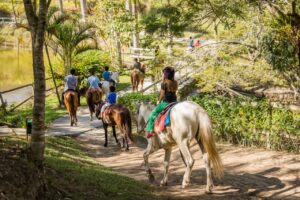 Hotel Fazendão - Salesópolis - animais