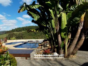 Casa Branca Pousada - Pomerode - piscina