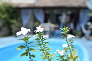 Pousada Nossa Senhora da Guia - piscina